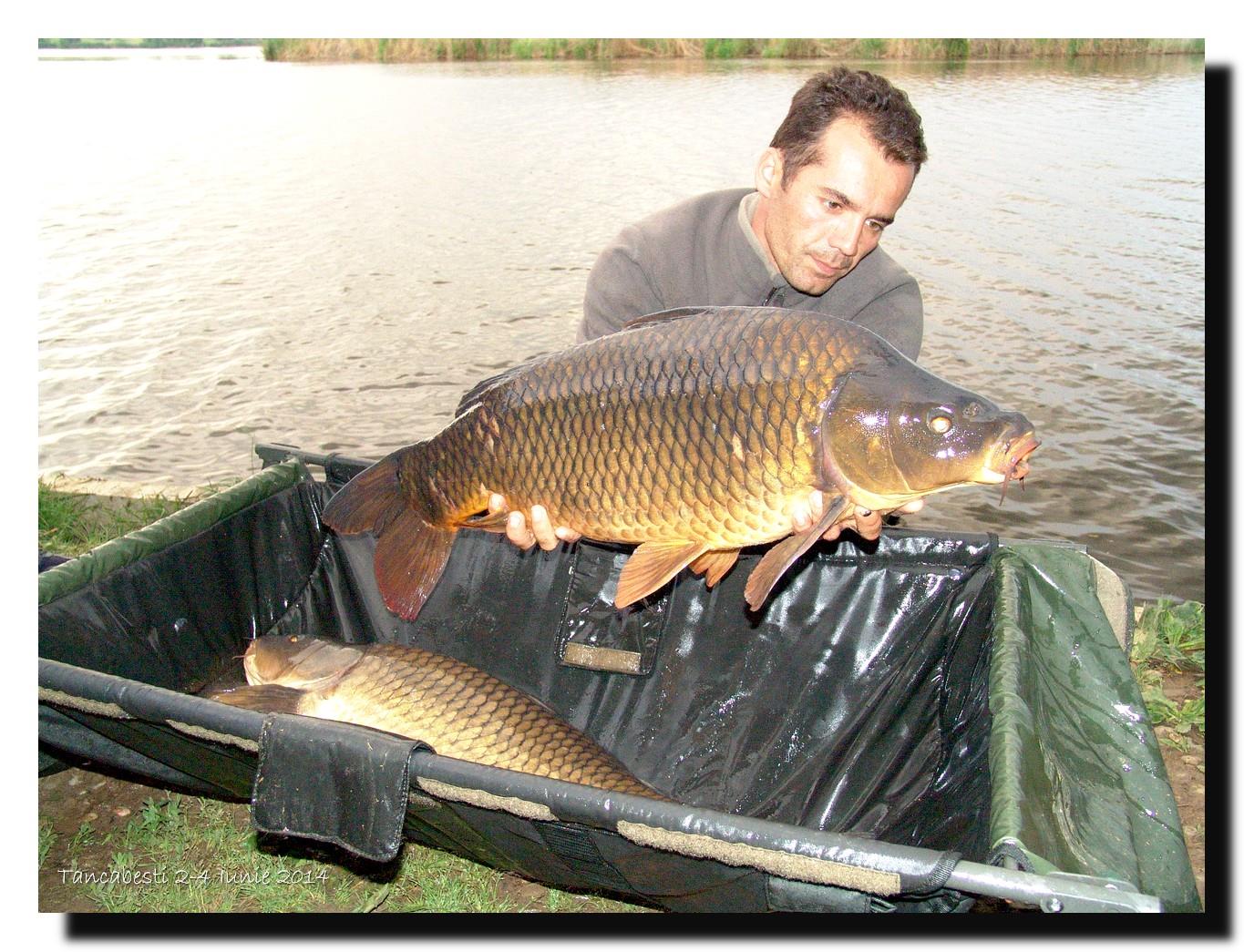 1-4 iunie tancabesti - dsc00246.jpg